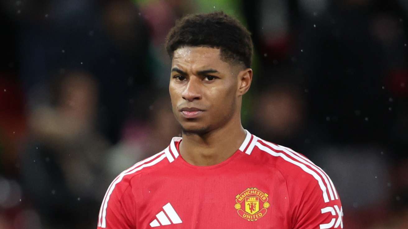 教科书般的 教科书般的